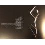 HYACORP MLF1 BODY CONTURING AREE DI INIEZIONE