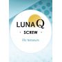 LUNA Q 27G38mm PLCL SCREW (16 Pces/poche)