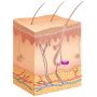 STYLAGE Skin injection area