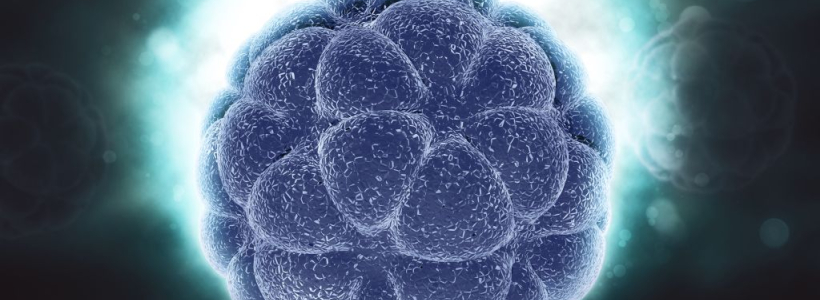 Exosomas en Medicina Estética: Noticias y Aplicaciones | France Health